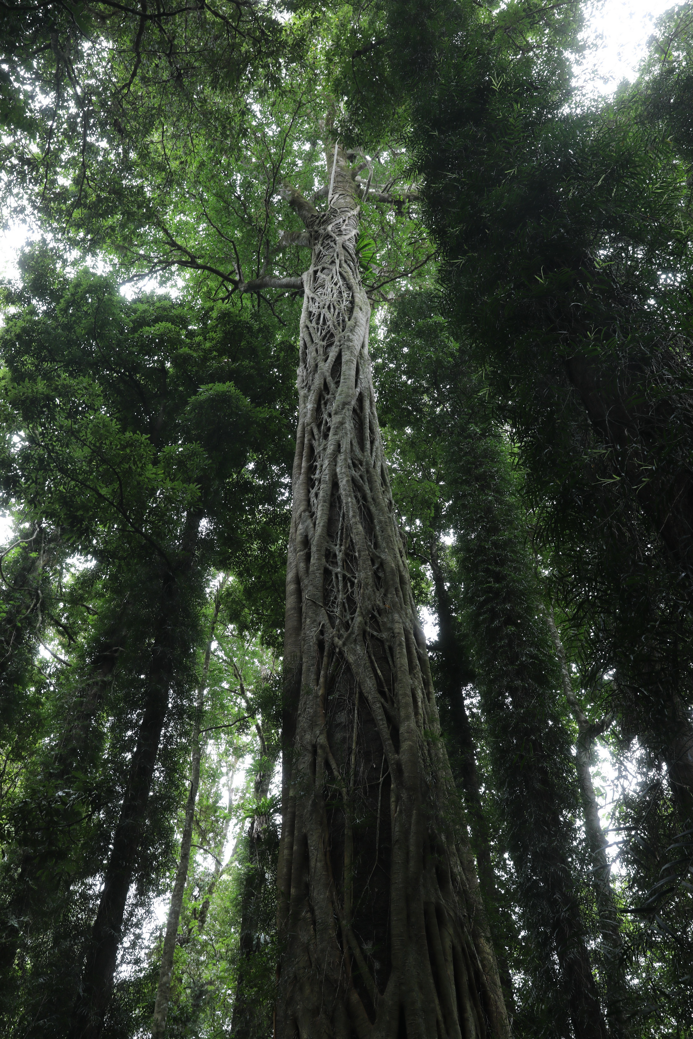 2020 01 14 14 24 15 Canon EOS 5D Mark IV 0016